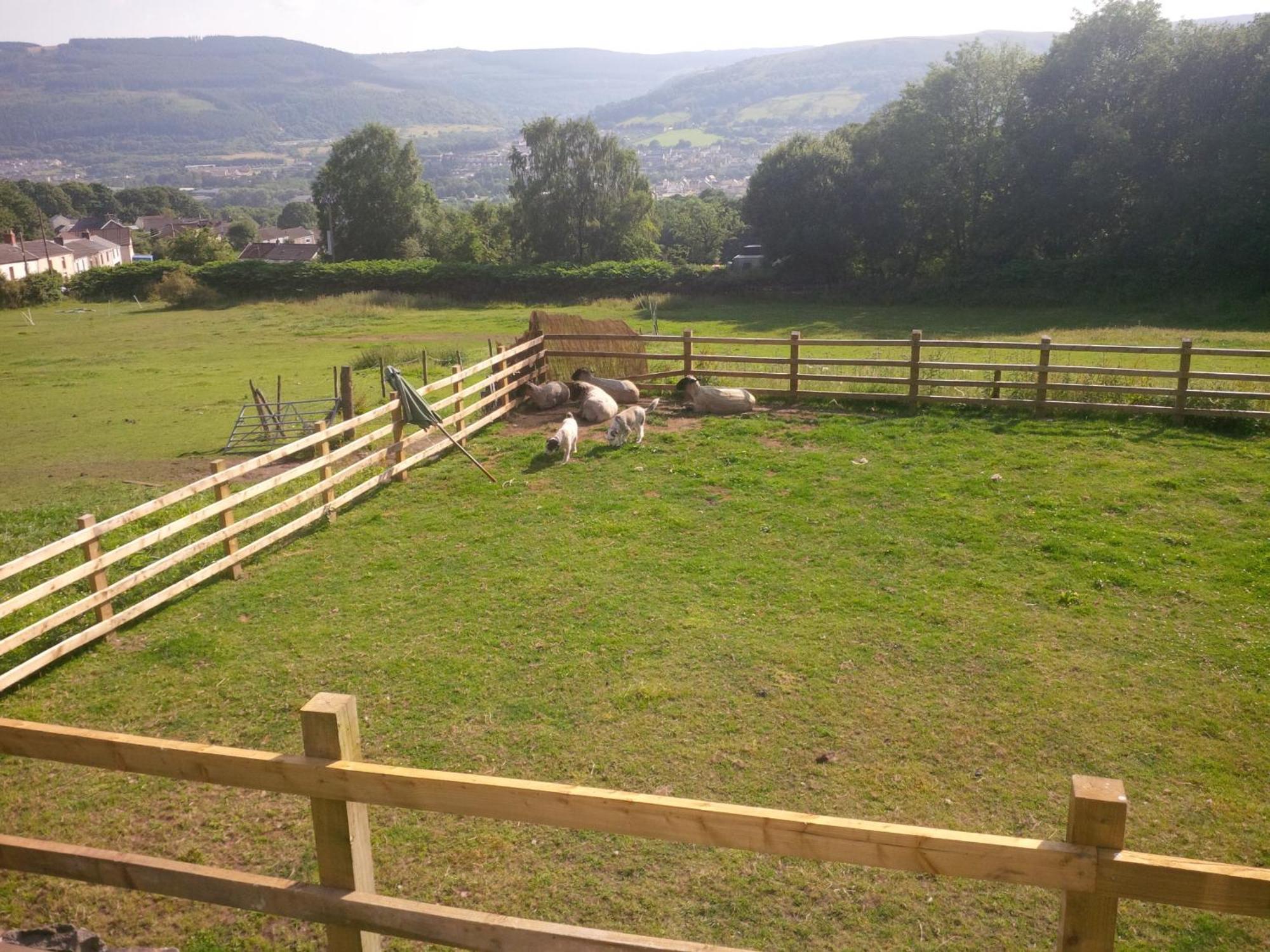 Tunnel Cottages At Blaen-Nant-Y-Groes Farm Абърдеър Стая снимка