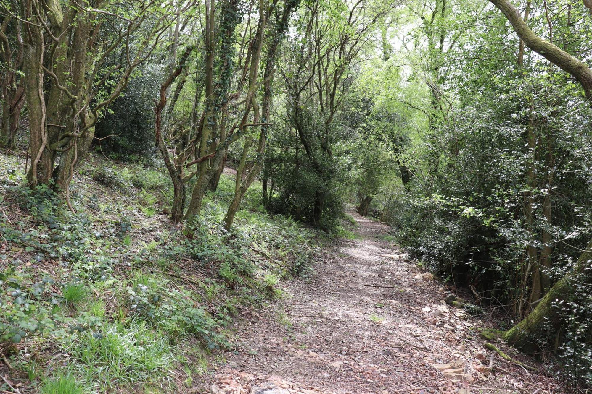 Tunnel Cottages At Blaen-Nant-Y-Groes Farm Абърдеър Екстериор снимка